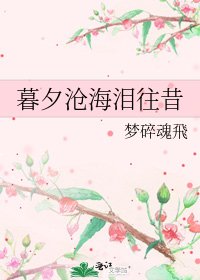 《暮夕沧海泪往昔》