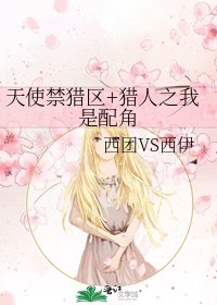 《天使禁猎区+猎人之我是配角》