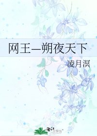 《网王—朔夜天下》