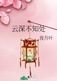 《云深不知处》