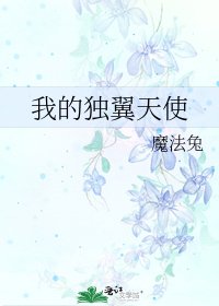 《我的独翼天使》
