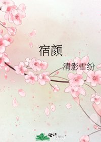《宿颜》