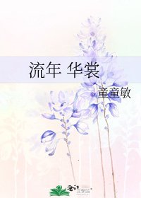 《流年 华裳》