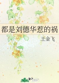 《都是刘德华惹的祸》