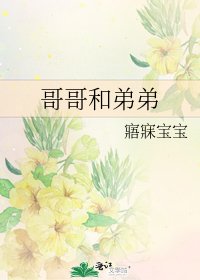 《哥哥和弟弟》