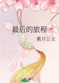 《最后的旅程》