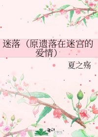 《迷落(原遗落在迷宫的爱情)》