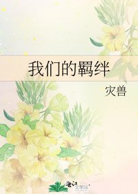 《我们的羁绊》