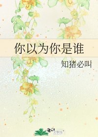 《你以为你是谁》