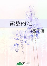 《素数的唯一》