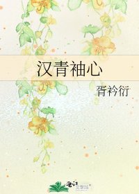 《汉青袖心》