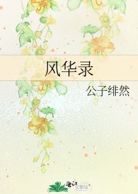 《风华录》
