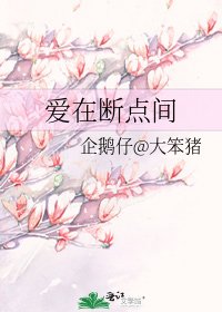 《爱在断点间》