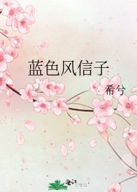 《蓝色风信子》