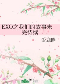 《EXO之我们的故事未完待续》