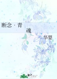 《断念•青魂》