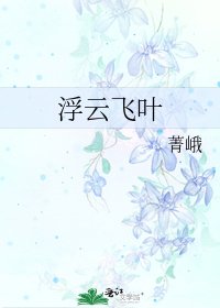 《浮云飞叶》