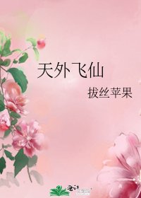 天外飞仙