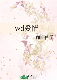 《wd爱情》