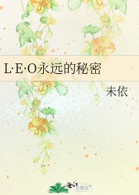《L·E·O永远的秘密》