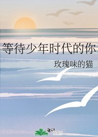 《等待少年时代的你》