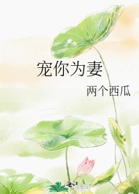 《宠你为妻》