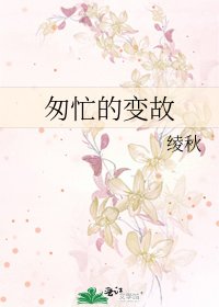 《匆忙的变故》