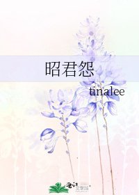《昭君怨》