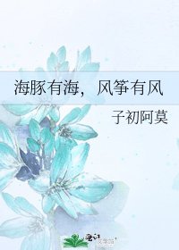 《海豚有海,风筝有风》