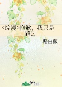 《抱歉,我只是路过》