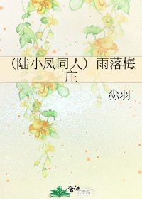 《(陆小凤同人)雨落梅庄》