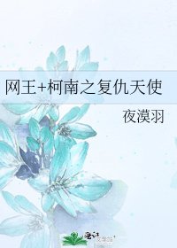 《网王+柯南之复仇天使》