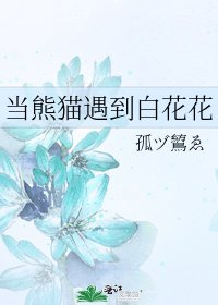 《当熊猫遇到白花花》