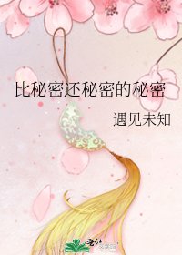 比秘密还秘密的秘密