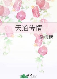 《天道传情》