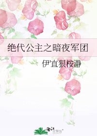 《绝代公主之暗夜军团》