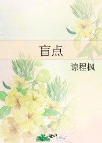 《盲点》