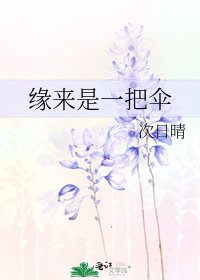 《缘来是一把伞》