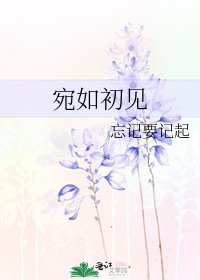 《宛如初见》