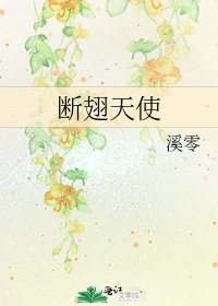 《断翅天使》