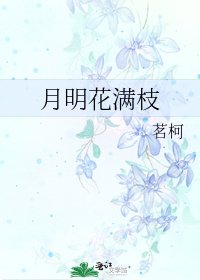 《月明花满枝》