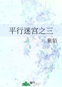 《平行迷宫之三》