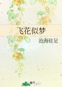 《飞花似梦》
