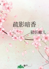 《疏影暗香》