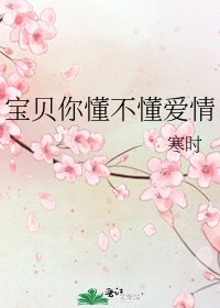 《宝贝你懂不懂爱情》