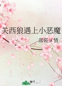 《关西狼遇上小恶魔》