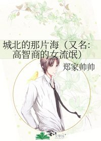 《城北的那片海(又名:高智商的女流氓)》