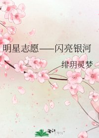 《明星志愿——闪亮银河》