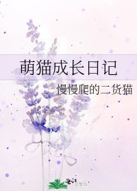 《萌猫成长日记》