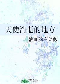 《天使消逝的地方》